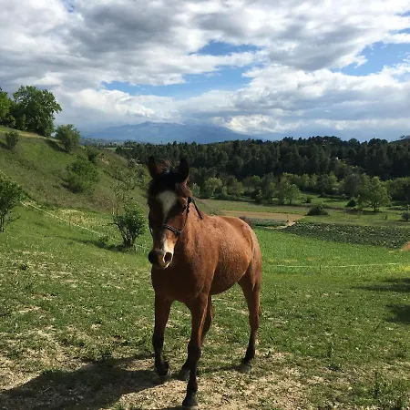 Bellavista Bike Stop 3* Spoltore