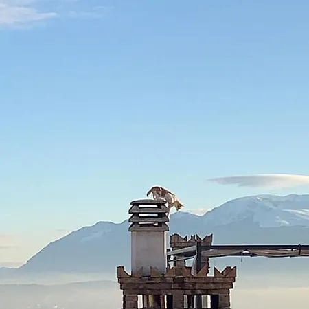 住宿加早餐酒店 Bellavista Bike Stop 3*