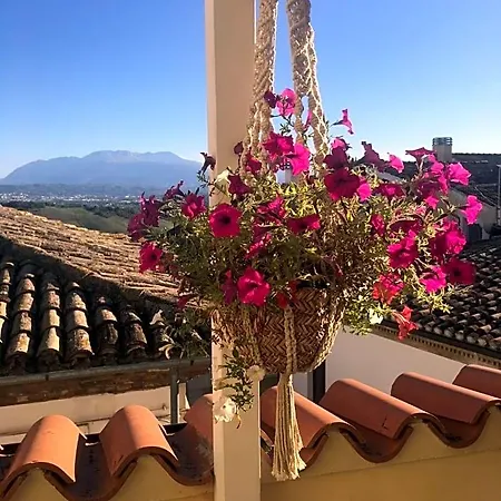 Bellavista Bike Stop Bed & Breakfast