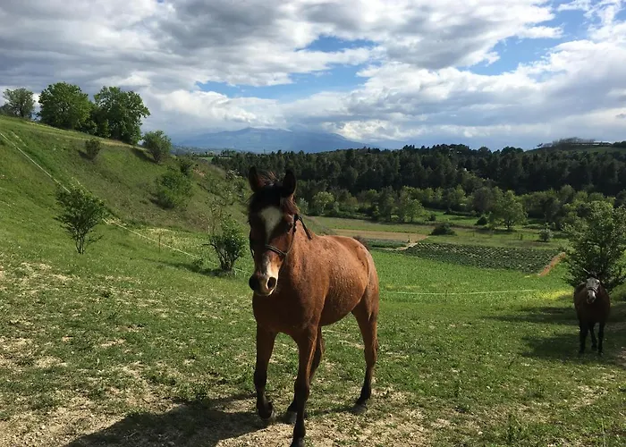 Bellavista Bike Stop 3* Spoltore